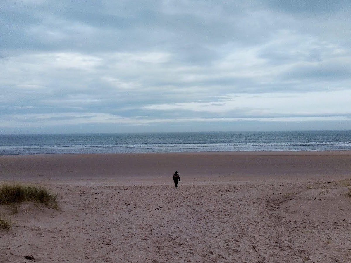 Ross Sands Walk: Sand, Seals & Stormy&nbsp;Skies